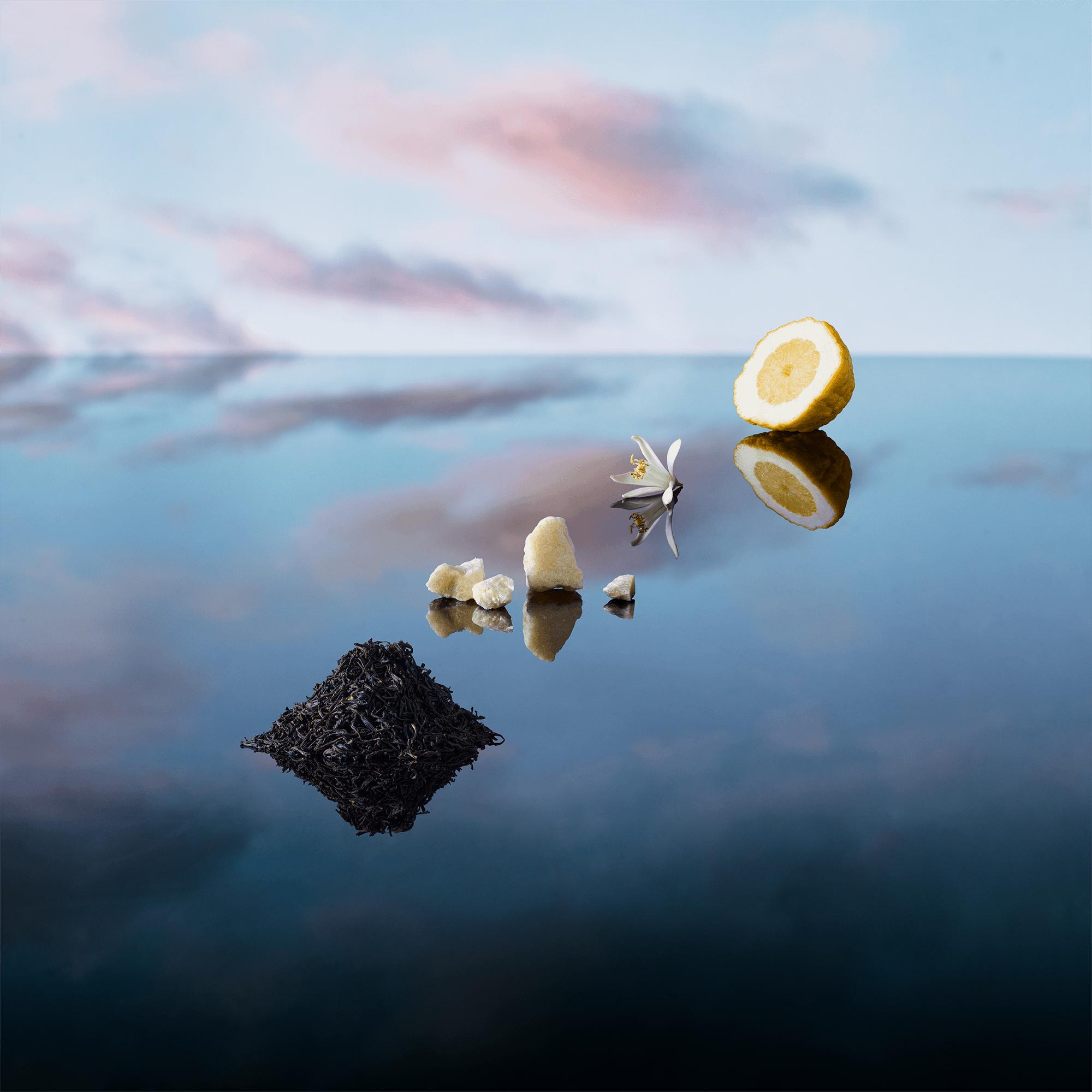 Spray de Viagem do Perfume Imagination - Coleções | LOUIS